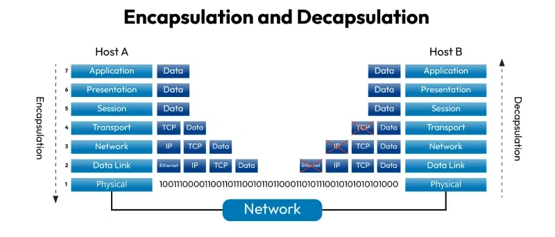 Encapsulation and Decapsulation